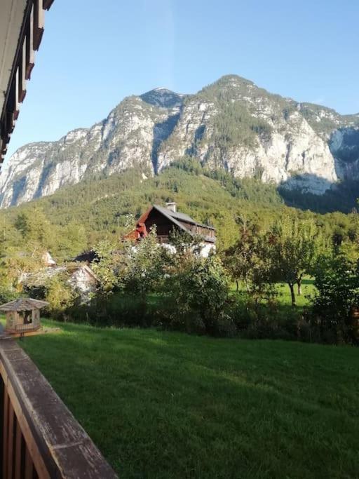 Apartma Traumblick Obertraun Apartment Exterior foto